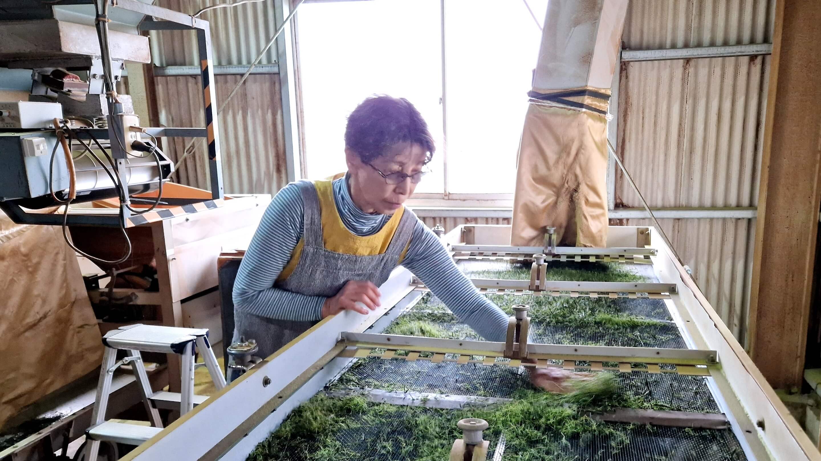 Teefabrik der Familie Morimoto in Miyazaki