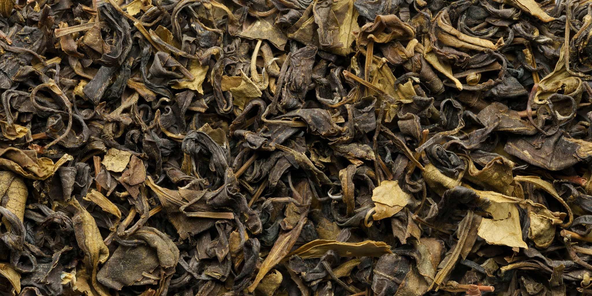 Portugal Tee von Cha Camelia