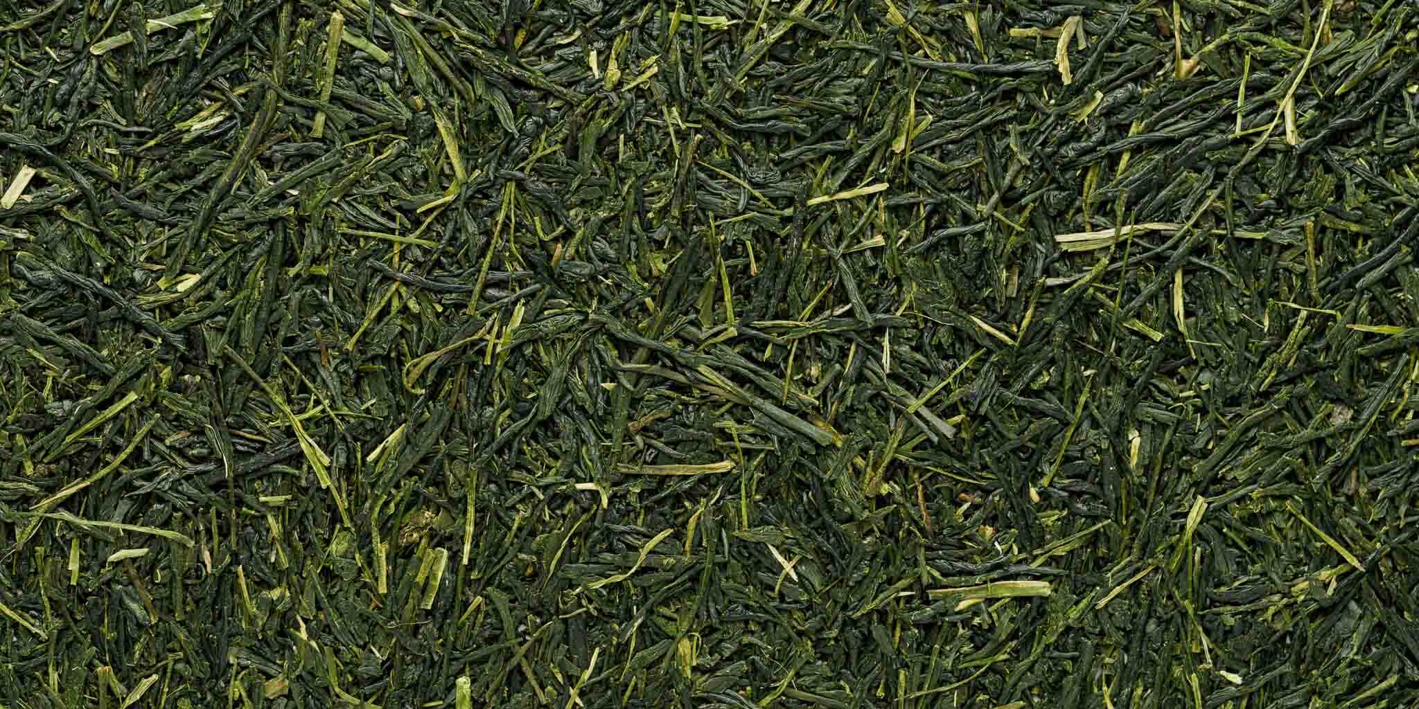 Gyokuro im Moses Shop - japanischer Grüntee