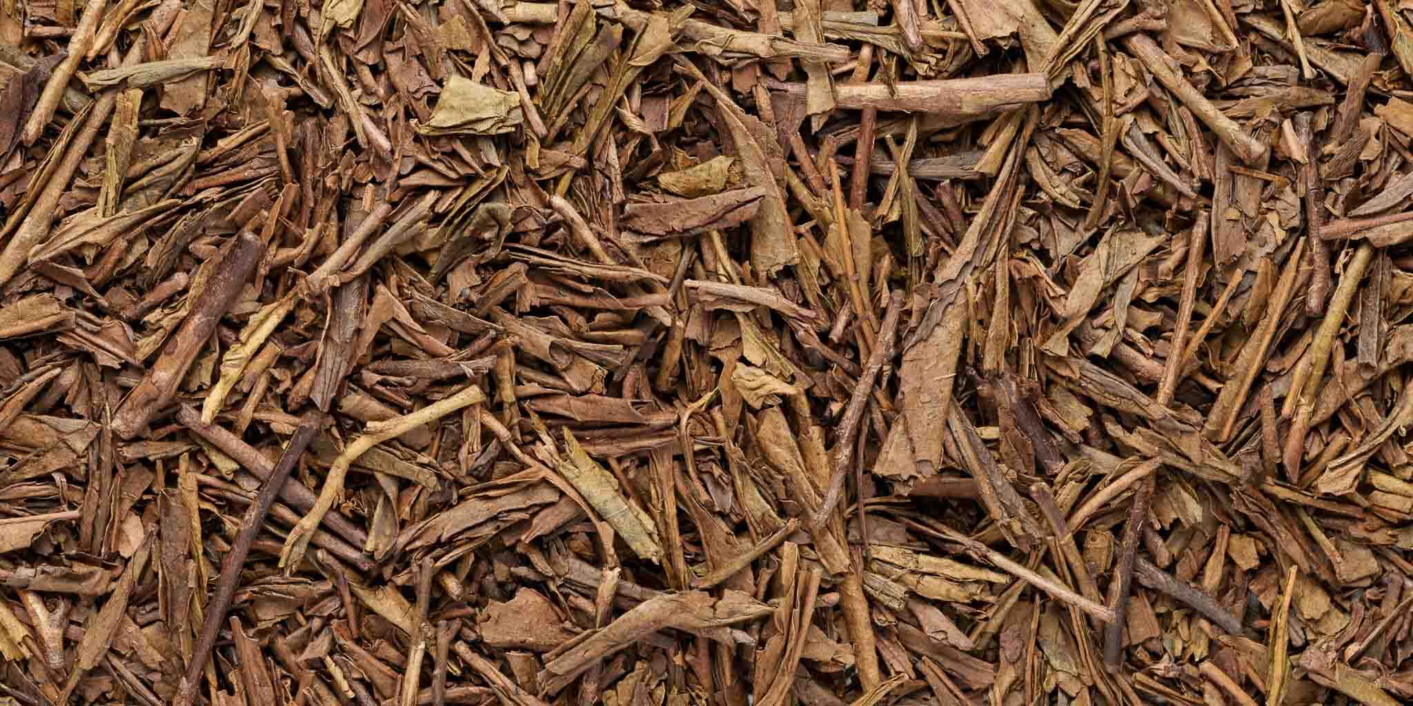 Houjicha im Moses Shop - gerösteter Grüntee