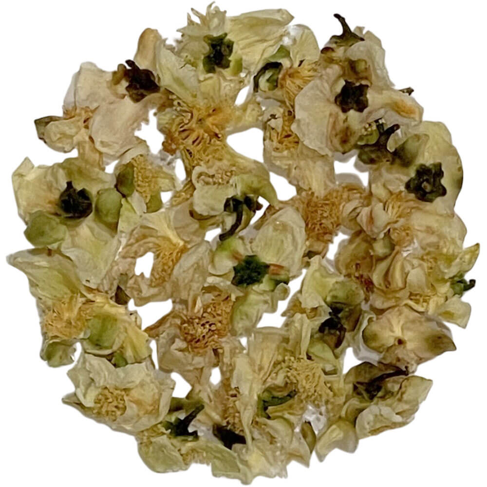 Teeblüten Flor Cha aus Portugal bio lose