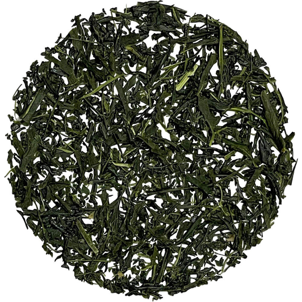 Mie Harunoka Shincha bio 2024 lose