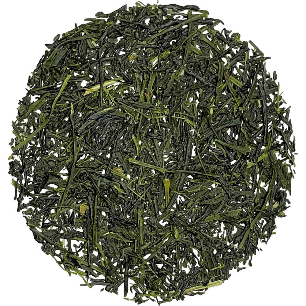 Morimoto Shincha bio lose neu