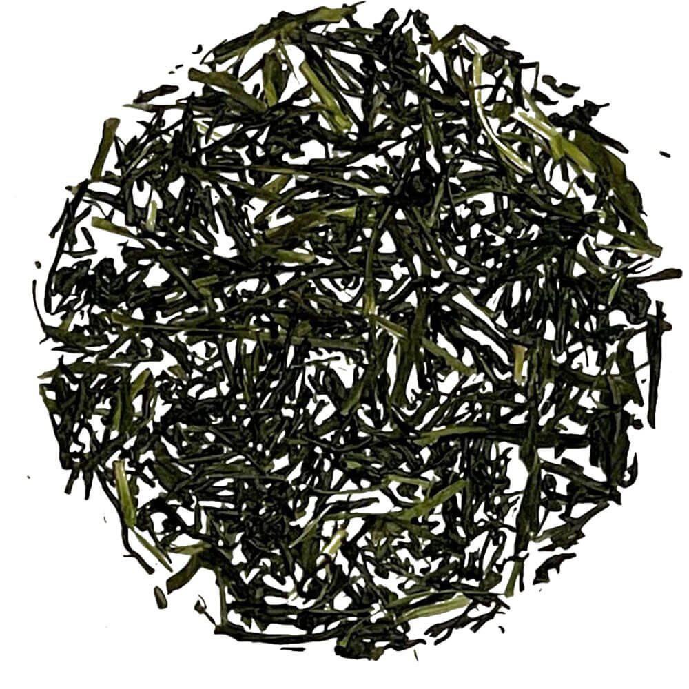 Lose Teeblätter des Sakura No Shincha Moe – feiner japanischer Shincha aus erster Pflückung, tiefgrün und frisch verarbeitet