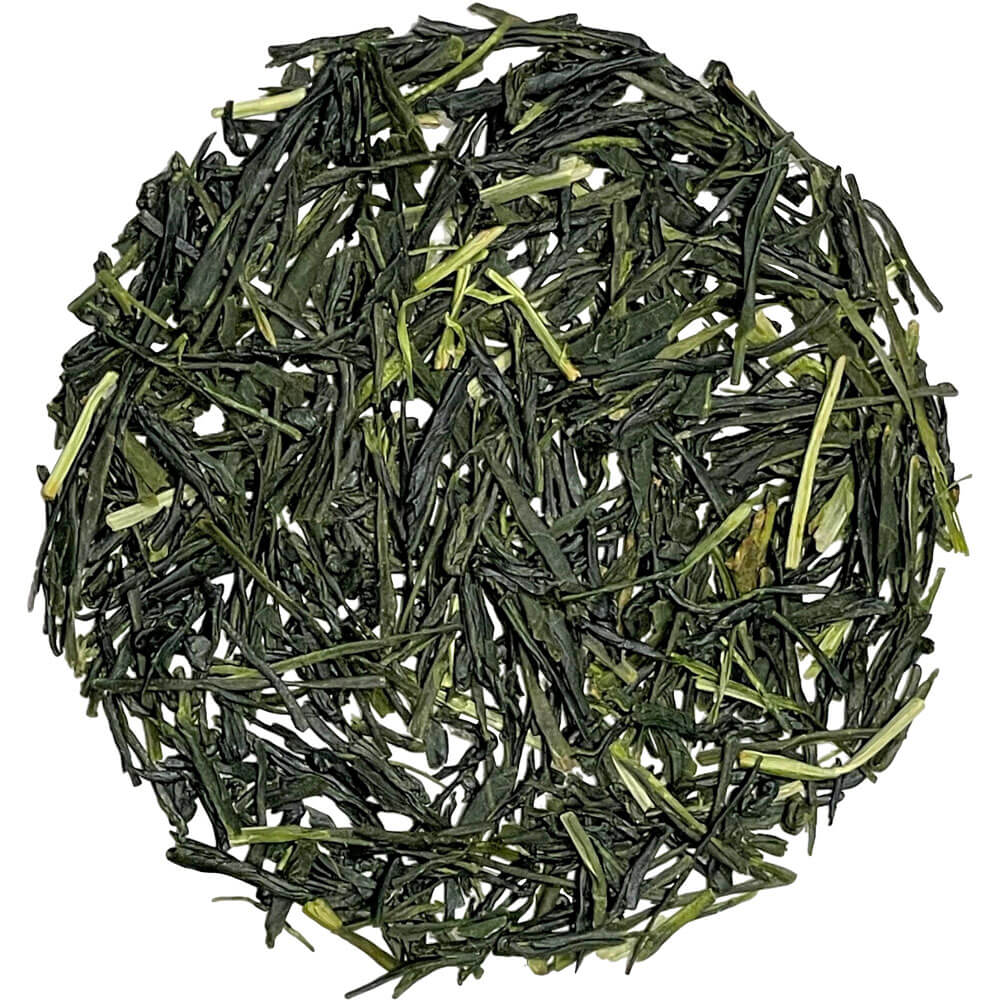 Kokudashi Shincha 2024 bio lose