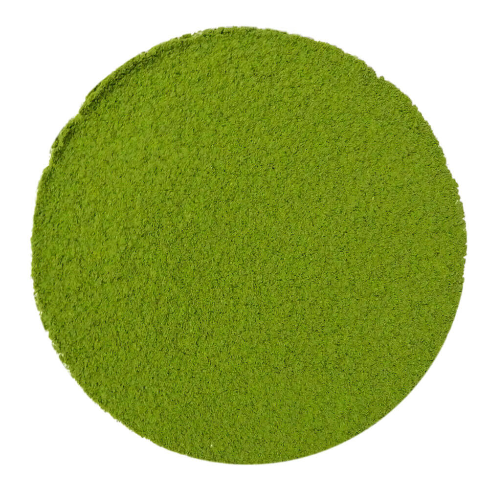 Leuchtend grünes, fein gemahlenes Matcha-Pulver – Kirishima Midori Bio-Qualität, intensiv in Farbe und Struktur