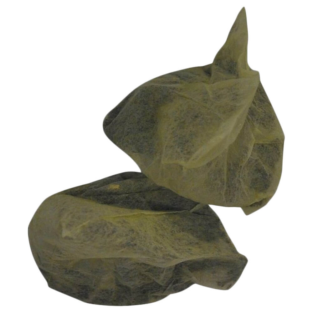Premium Mizudashi Sencha bio Teebeutel