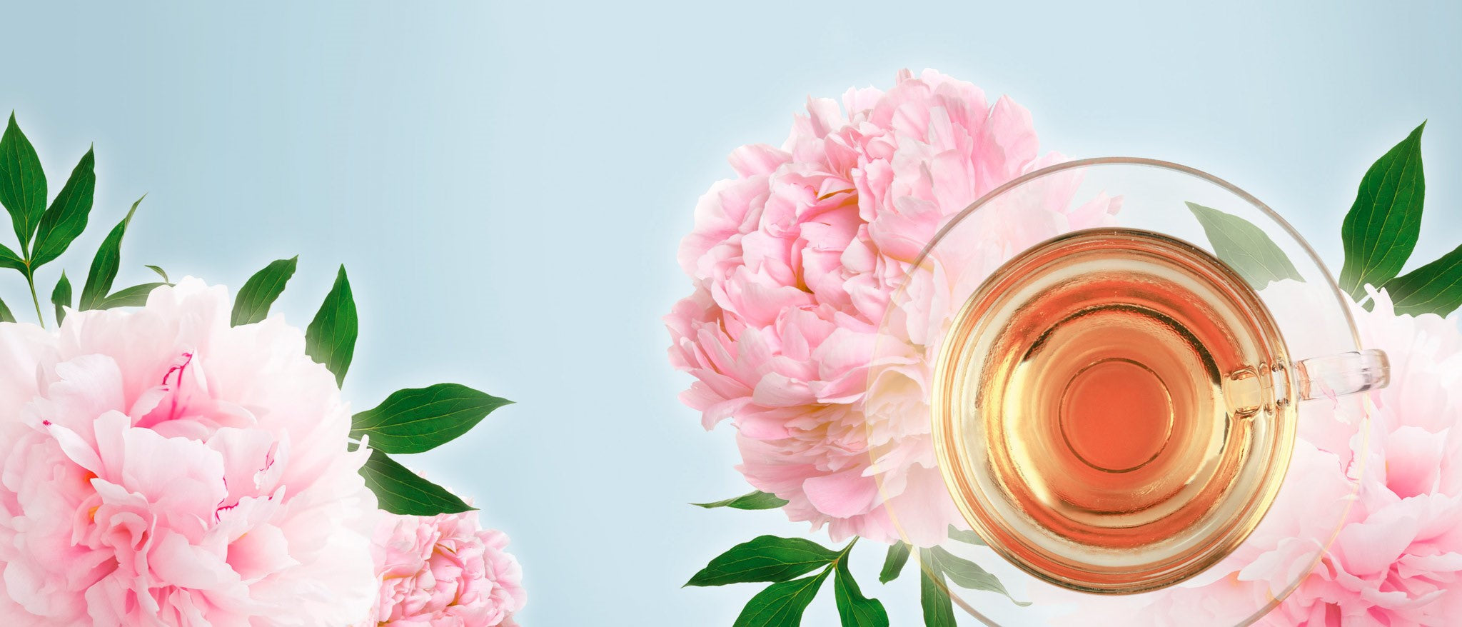 aromatischer Ronnefeldt Tee
