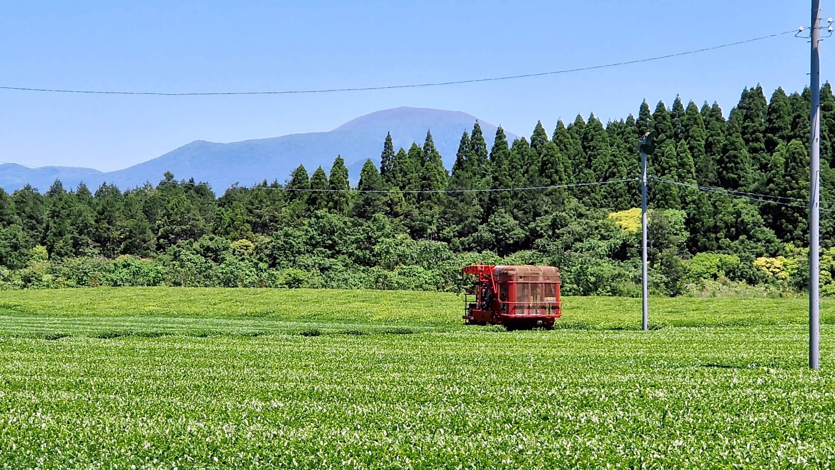 Teegarten Familie Hayashi