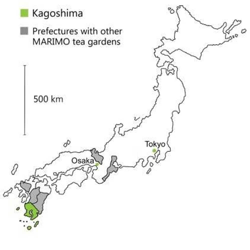 Karte von Japan mit grün markierter Präfektur Kagoshima auf Kyushu sowie weiteren MARIMO-Teegärten in anderen Präfekturen