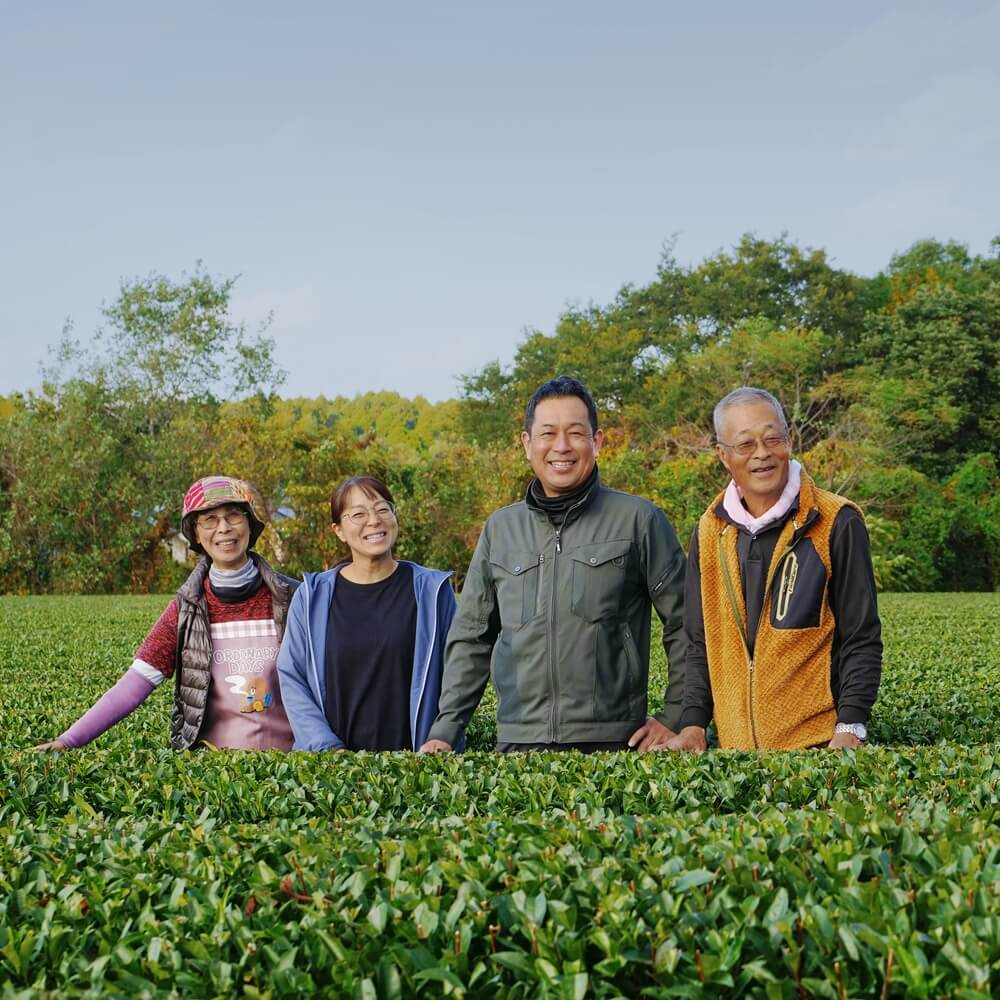 Haruyo und Shigeru Morimoto mit Naoki und Misa Kamimizu zwischen Teesträuchern in Miyazaki