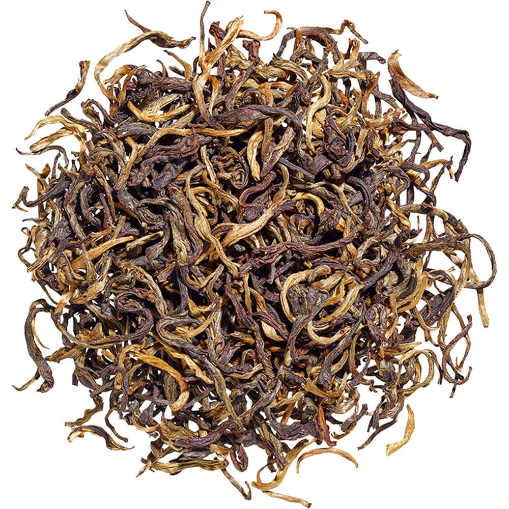 Goldene Tips und gedrehte Blätter des Golden Dragon Schwarztees aus Yunnan 