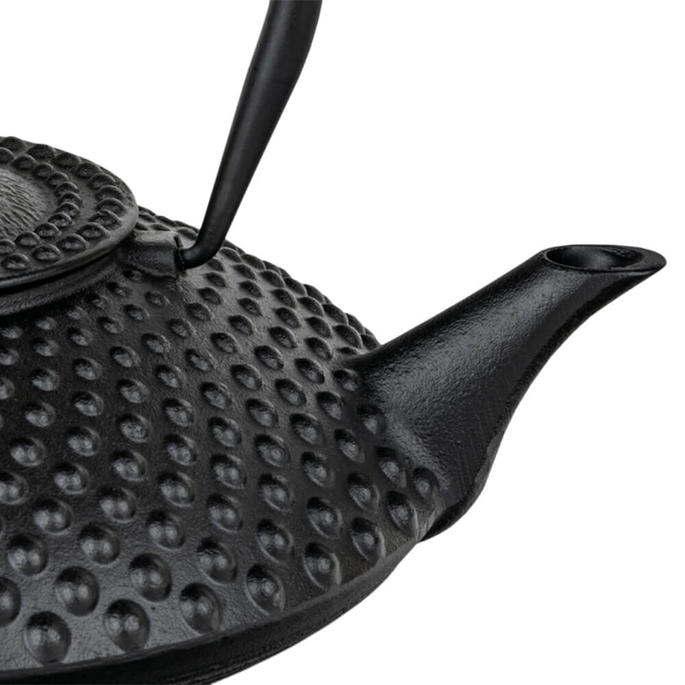 Detail der Tülle einer schwarzen Gusseisen Teekanne Bredemeijer Xilin 1,25 l
