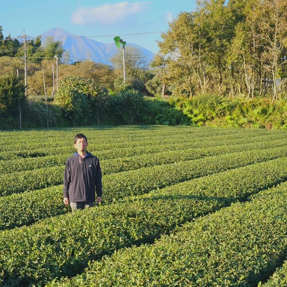 aruki Ooishi im Bio-Teegarten in Miyazaki zwischen sattgrünen Teereihen vor weiter Landschaft