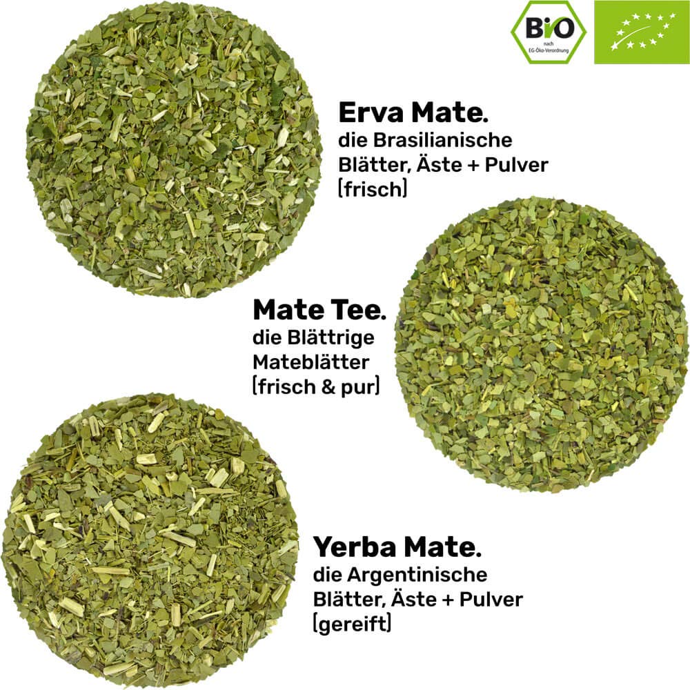 Set Mate Becher Mate Becher Yerba Verde Mate Green 10x50 - Mate