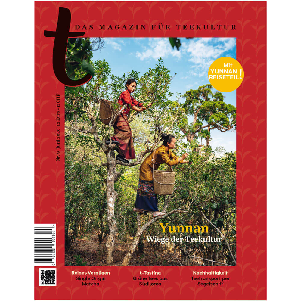Cover des t-Magazins Nr. 9 mit Teepflückerinnen in Yunnan, China, auf alten Teebäumen und dem Titel „Yunnan – Wiege der Teekultur“#magazin_ausgabe-9