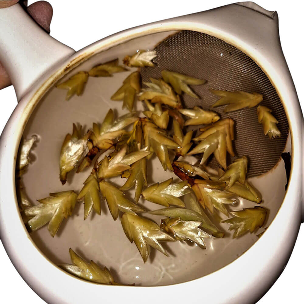 Gushu Chaya Weißer Tee Yunnan Aufguss