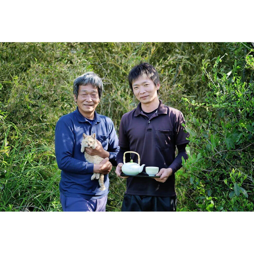 Teepause von Familie Kadota in der Präfektur Miyazaki