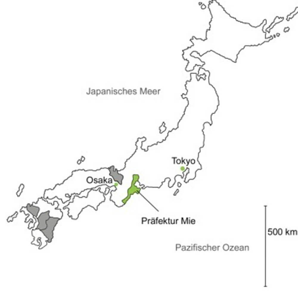 Anbaugebiet Mie Tokujou Sencha bio